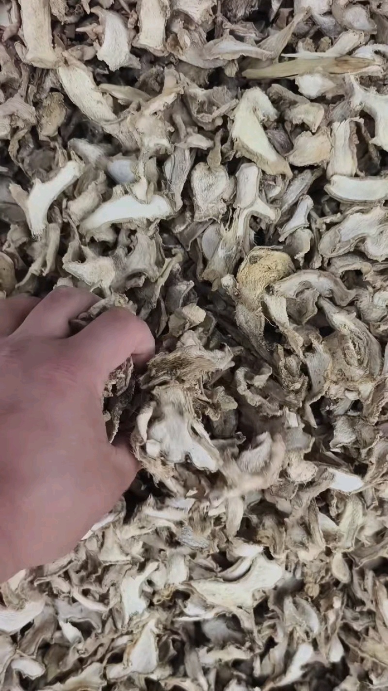 姜干干净无沙土机器过筛统片烘干片萃取姜沫