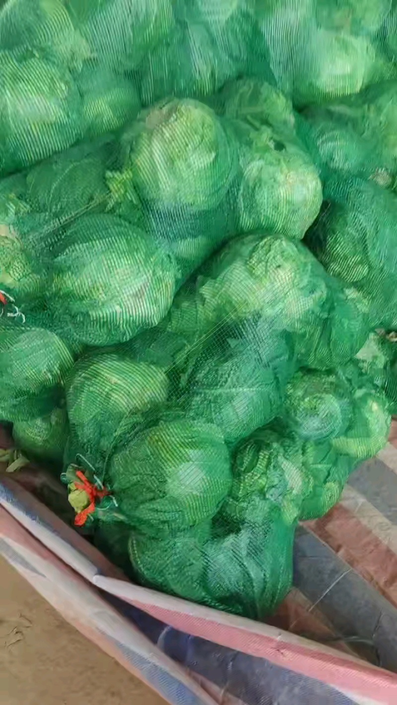 甘蓝养殖专用，价位不高，需要联系。