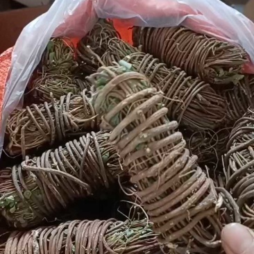 【精选】鸡骨草广东德庆本地大山鸡骨草有少量叶无叶鸡骨草