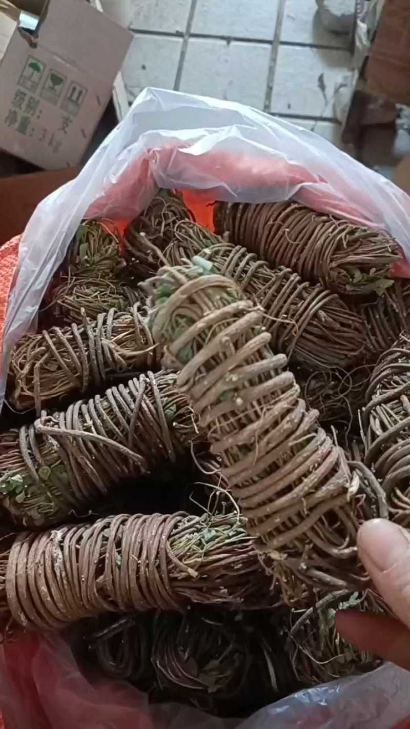 【精选】鸡骨草广东德庆本地大山鸡骨草有少量叶无叶鸡骨草