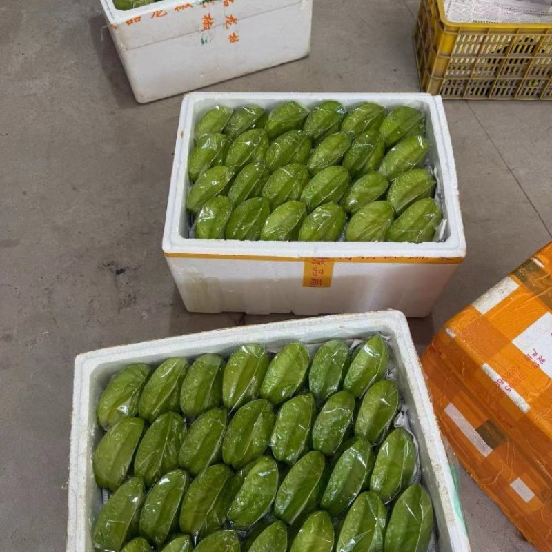 杨桃，甜杨桃，大量接单产地直发量大从优欢迎来电咨询