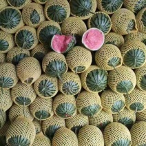 陕西蒲城吊兰西瓜，938品种规格齐全，头茬瓜产地现货现发