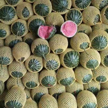 陕西蒲城吊兰西瓜，938品种规格齐全，头茬瓜产地现货现发