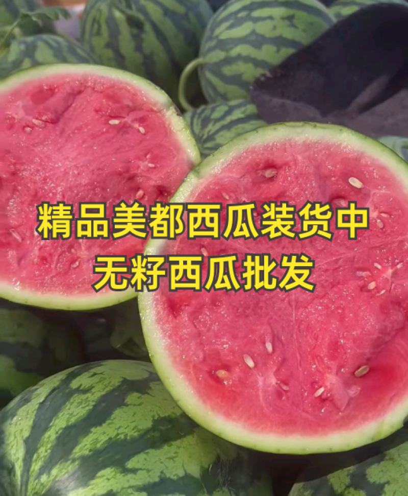 无籽美都西瓜711嘉年华麒麟西瓜商超电商供货代发全国