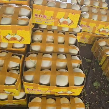 红金蜜大量有货，装车中！