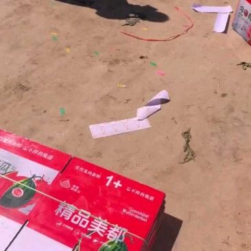 西瓜/江苏美都/美都西瓜/盐城美都西瓜/盐城西瓜