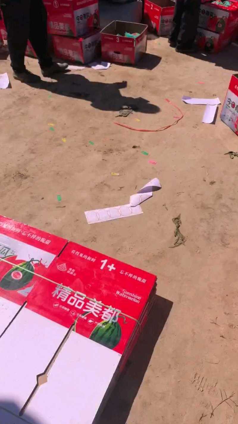 西瓜/江苏美都/美都西瓜/盐城美都西瓜/盐城西瓜