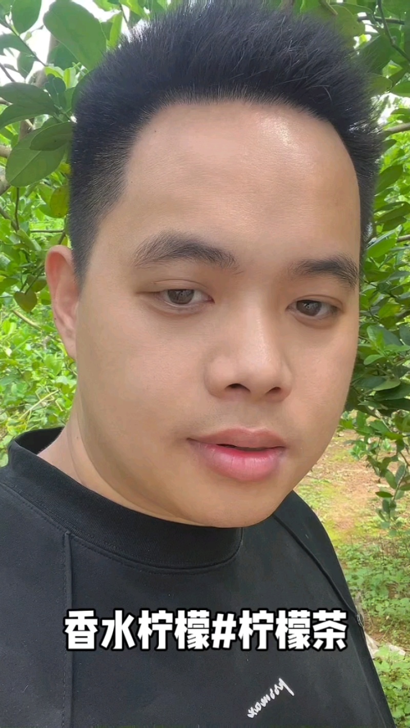 一级香水柠檬/二级香水柠檬