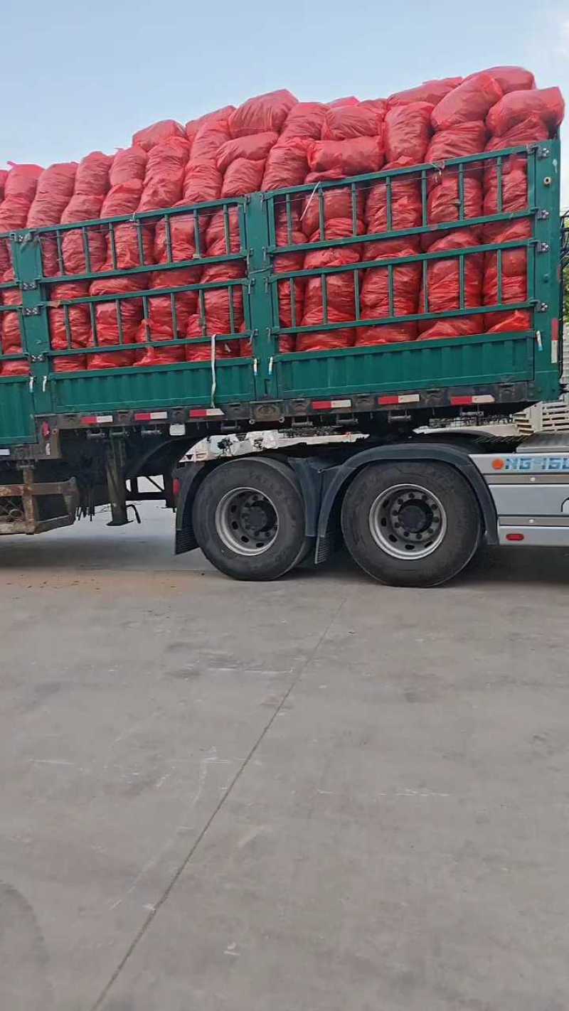 云南红土小黄姜可供（市场，出口，加工厂，药厂）