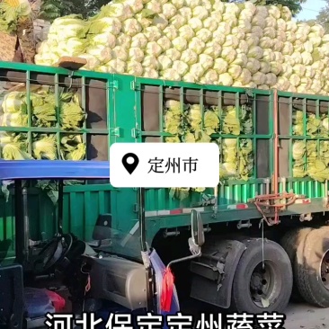 白菜玲珑黄，凌风阳春备有冷库专业打包队长期合作