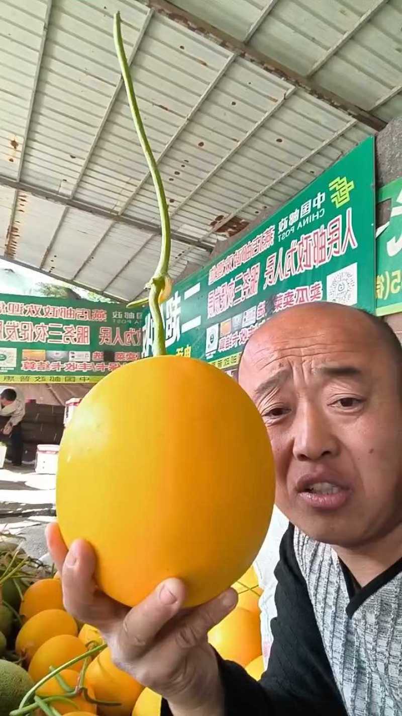 精品久红瑞，一块五收货，糖度15+！