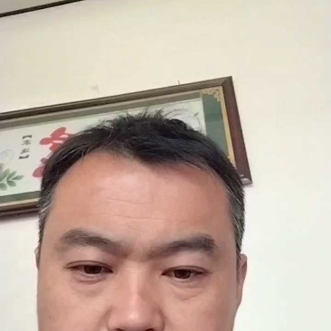 河北赵县精品皇冠梨产地发货一手货源批发质量保证价格优惠