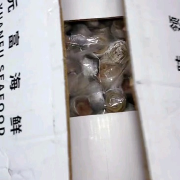 特色招牌刀鱼卷，甜辣可口大人孩子都爱！