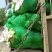 巜精品扁包菜》基地直供，源头保证新鲜，质量好，货量充足