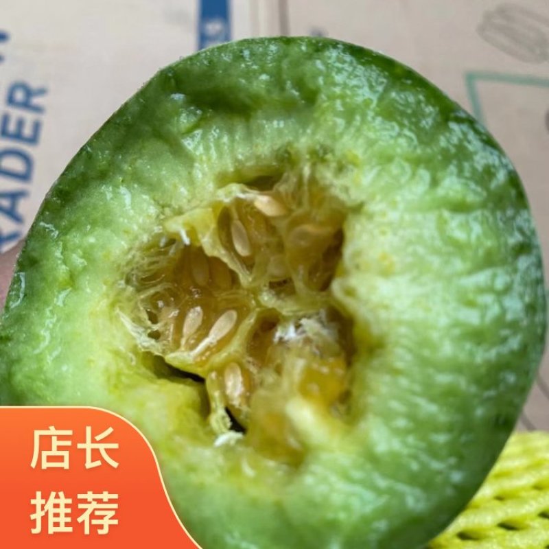 河北唐山博洋9号甜瓜2026热卖中各种精品甜瓜大量供应