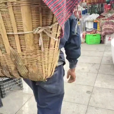 刚采摘新鲜货，白嫩饱满自家供