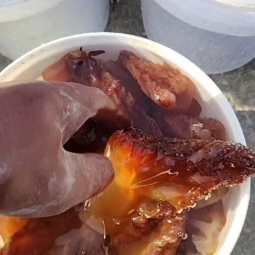 海蜇头红海蜇头海蜇红头源头工厂品质保证欢迎联系