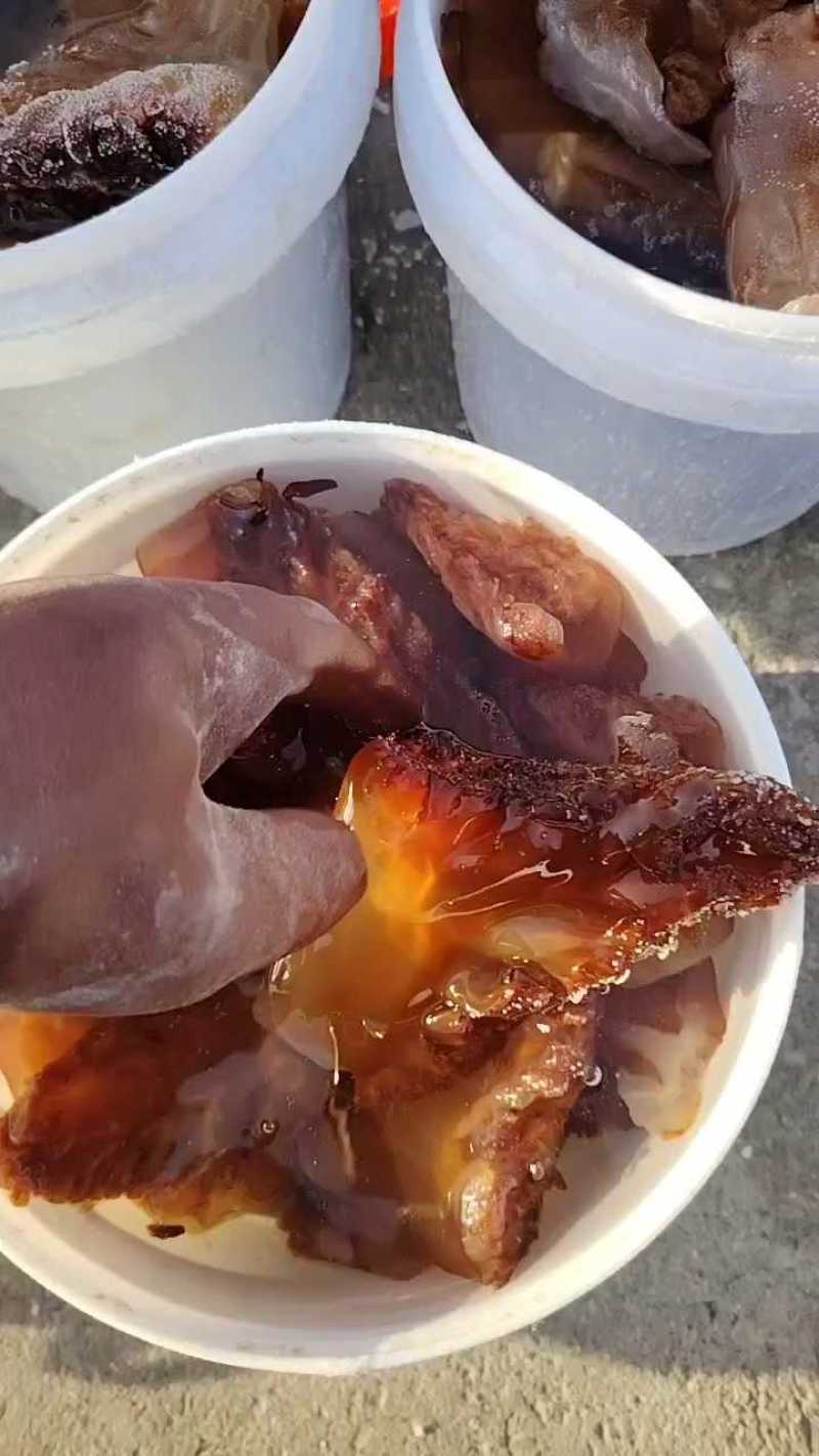 海蜇头红海蜇头海蜇红头源头工厂品质保证欢迎联系