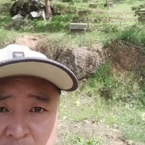 中蜂土蜂蜜保质保量货源充足量大从优欢迎订购