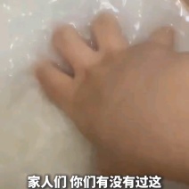 正宗五常长粒香千响地一级中科发五优质香米10斤/袋包邮