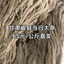 【全网低价】正品当归产地直发中药品质值得信赖