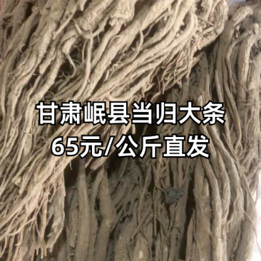 【全网低价】正品当归产地直发中药品质值得信赖
