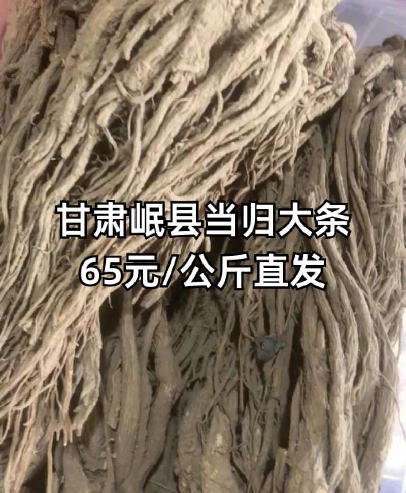 【全网低价】正品当归产地直发中药品质值得信赖