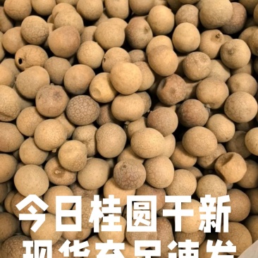 桂圆干大量现货，批发零售，工厂直发。