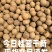 桂圆干大量现货，批发零售，工厂直发。
