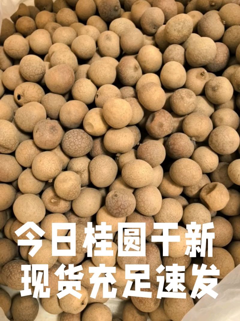 桂圆干大量现货，批发零售，工厂直发。