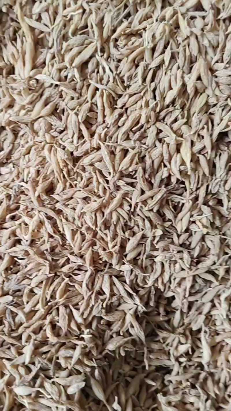 精选麦冬，香味浓郁，品质上乘