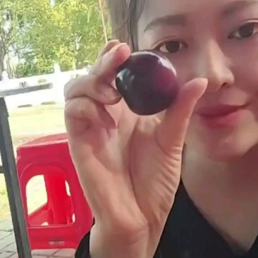 澳洲红李子&湖北李子/产地现货供应随到随装/一条龙服务