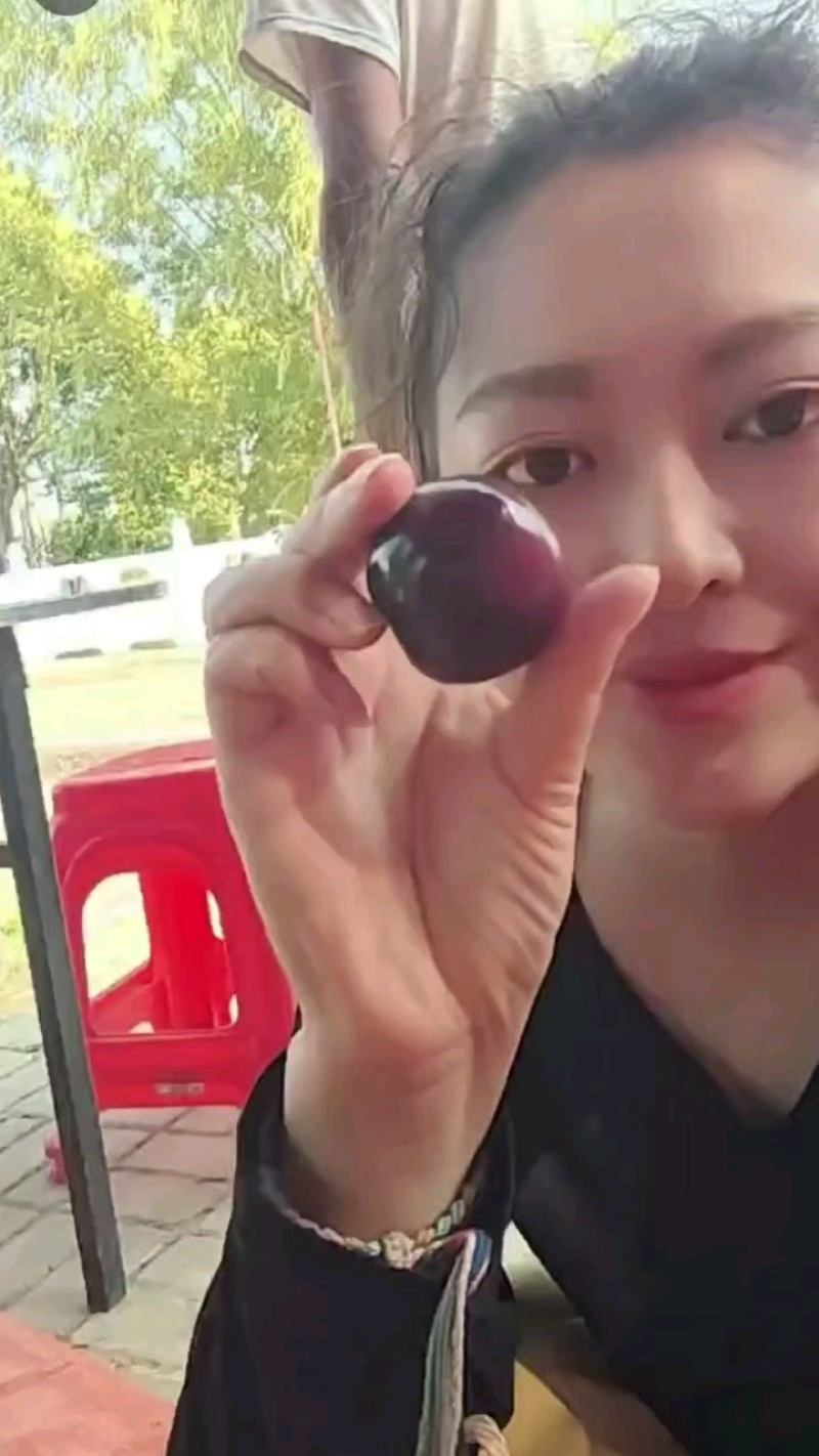 澳洲红李子&湖北李子/产地现货供应随到随装/一条龙服务