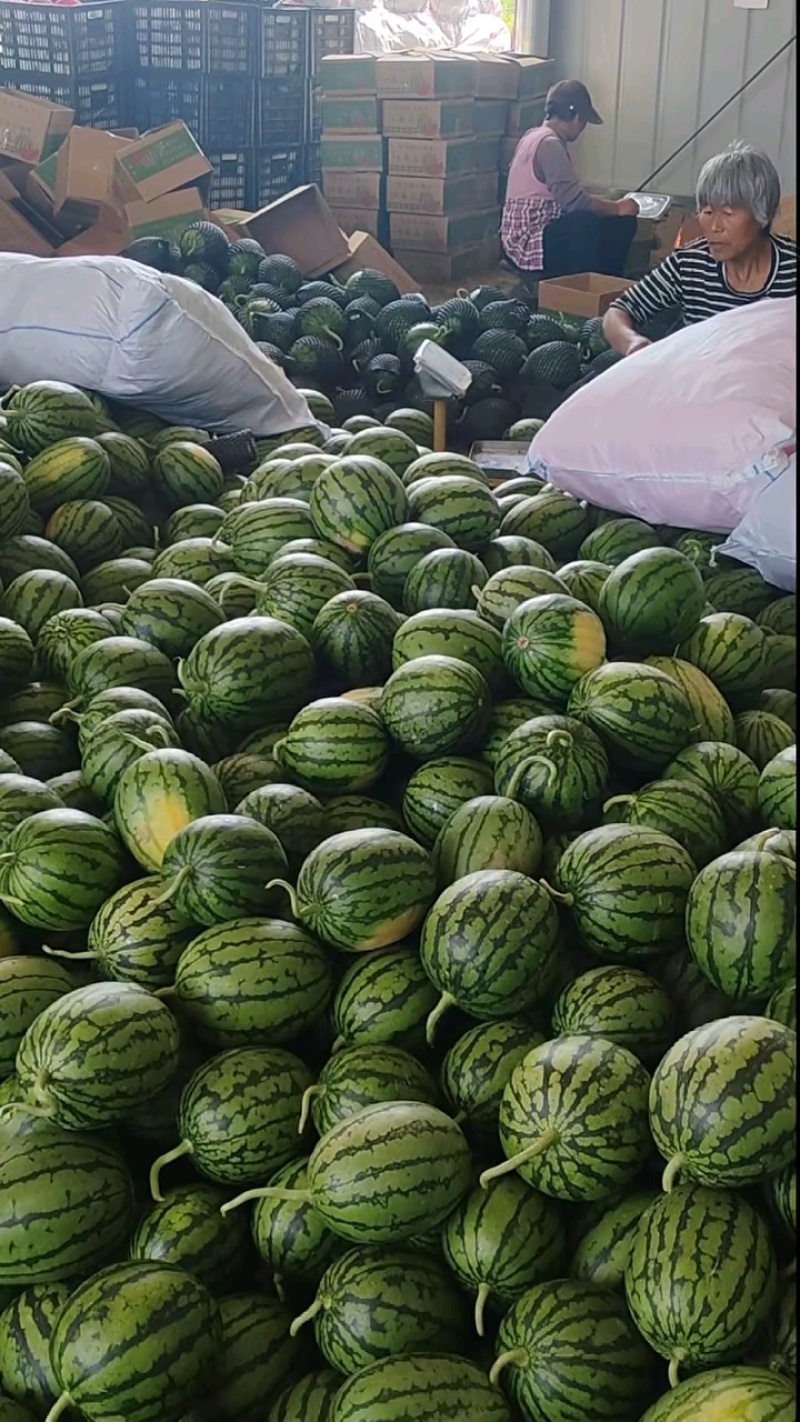 安徽砀山小糖丸西瓜