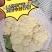 【精品花菜】有机松花菜河南花菜开封花菜产地直发