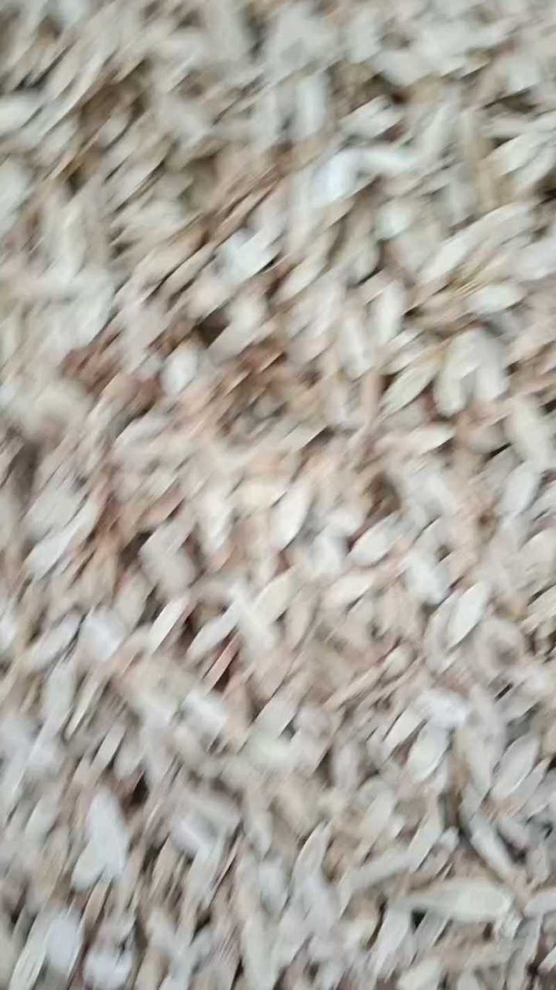 【甘肃岷县黄芪】正宗甘肃岷县产地三年生主根切片挑选黄芪，