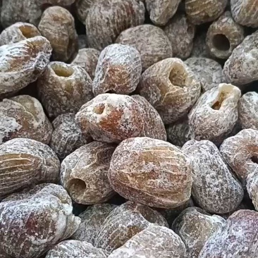 无核干蜜枣硬蜜厂家直供一手货源，颗粒饱满，物美价廉
