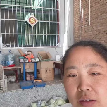 好撇莲六七毛，一般四毛，价位合适！