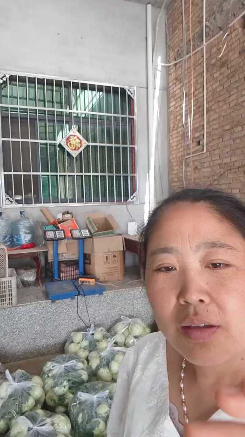 好撇莲六七毛，一般四毛，价位合适！