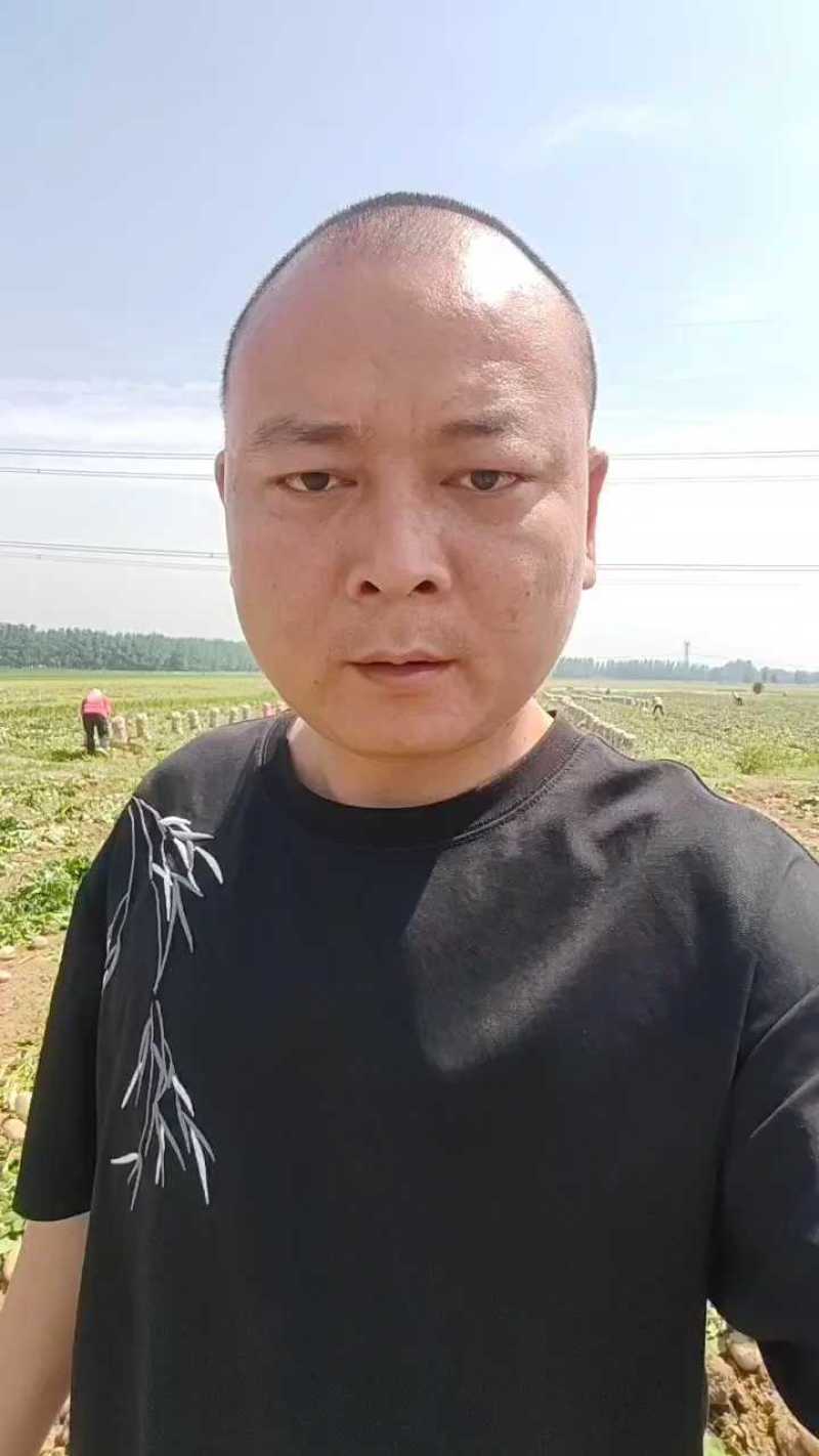 《火爆》2026新土豆，黄心土豆，黄皮黄心，一手货