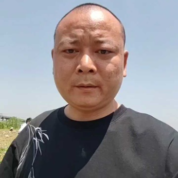 《火爆》2026新土豆，黄心土豆，黄皮黄心，一手货