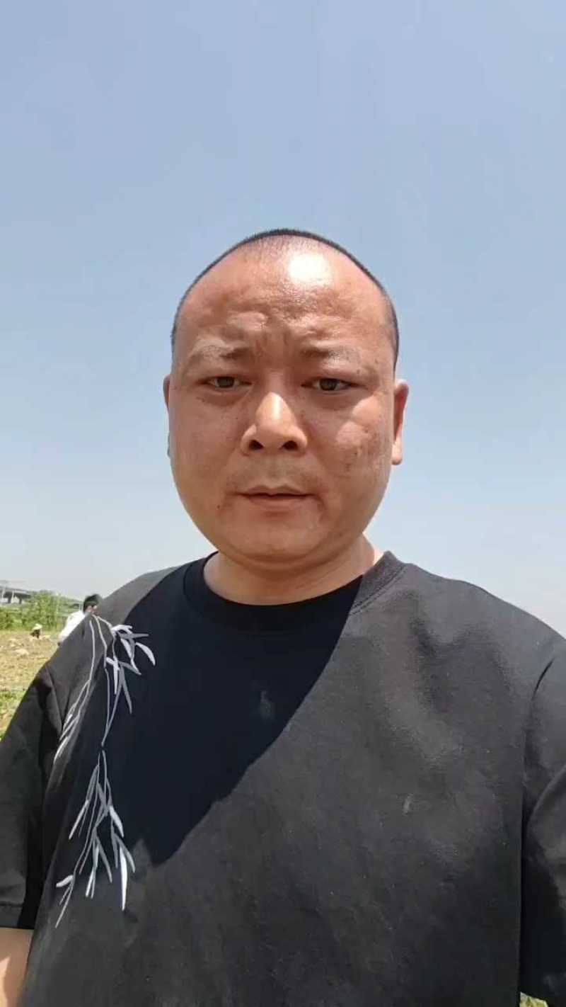 《火爆》2026新土豆，黄心土豆，黄皮黄心，一手货