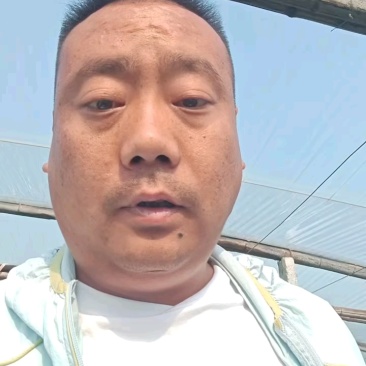 山东甜王，潍坊昌乐产区西瓜，专业代办西瓜