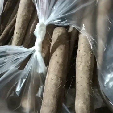 好货推荐河北双棒山药基地直发一手货源可视频看货