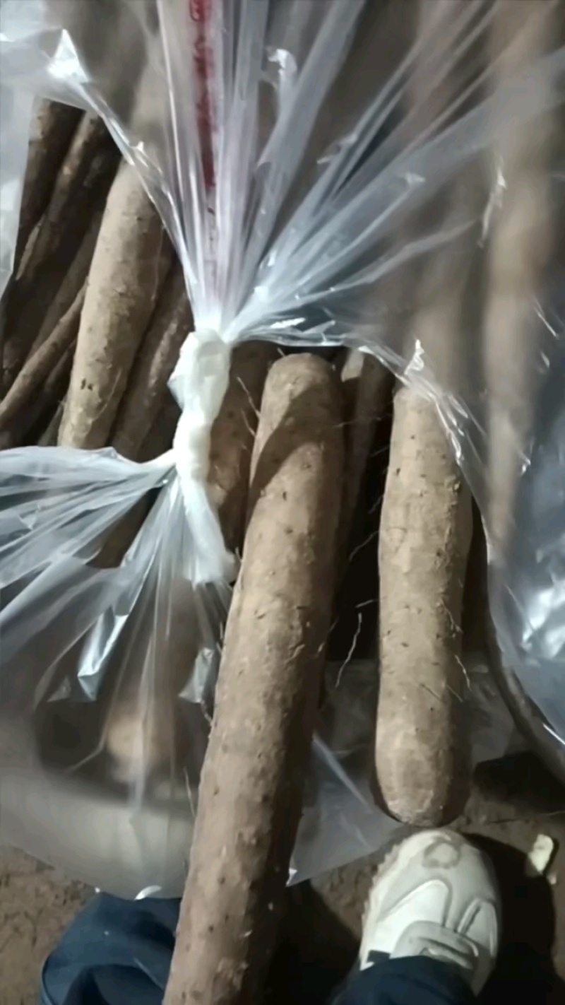 好货推荐河北双棒山药基地直发一手货源可视频看货