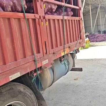 洋葱马上发车，需要的老板提前联系！