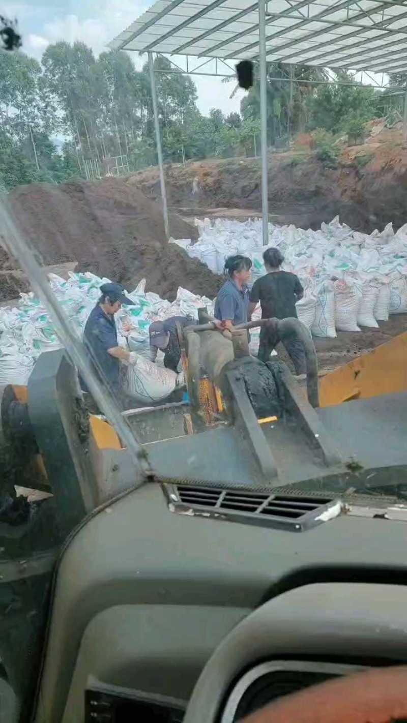 广东省清远市燕洲奶牛场，微生物菌发酵干牛粪，生物有机肥