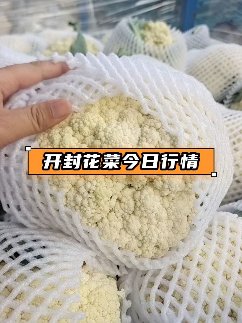 花菜松花菜精品万亩蔬菜基地产地直供，白面青梗河南花菜开封