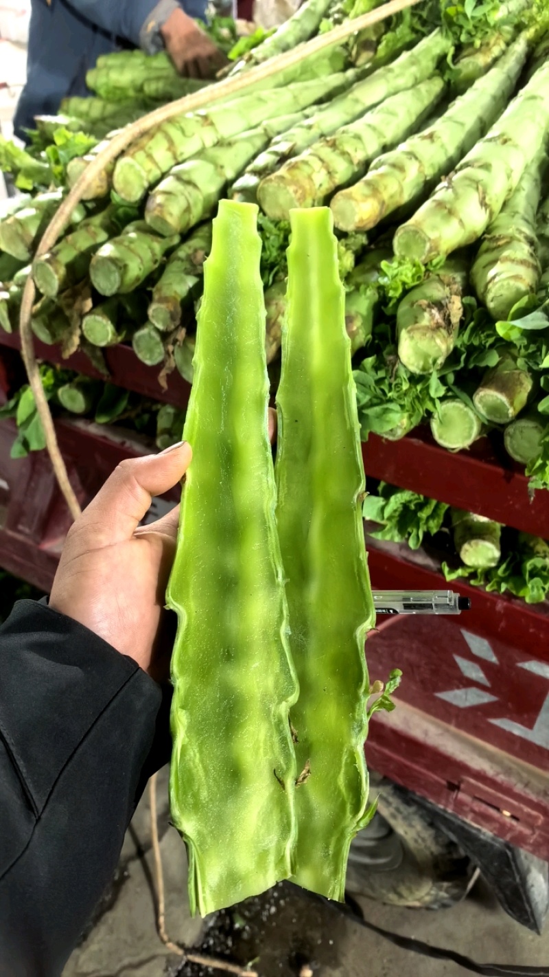 精品莴笋杆子，大量现货价格不高，保质保量发往全国各地，