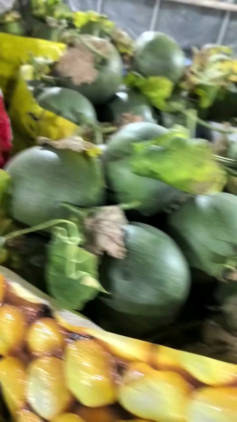 推荐山东绿宝甜瓜供应商超一手货源量大从优品质佳